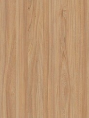 4565 Olmo Miele Timber