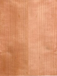 American Cherry