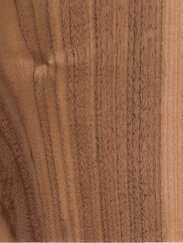 American Walnut