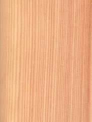 Larch
