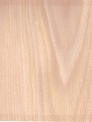 Maple 56 2F-P30(SB)