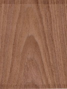 Walnut 209 2F-P (SF)